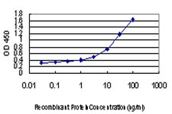C10orf7 monoclonal antibody (M08), clone 4B9
