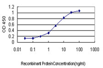 GMPS monoclonal antibody (M01), clone 1D10