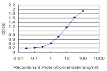NRP1 monoclonal antibody (M05), clone 1B3
