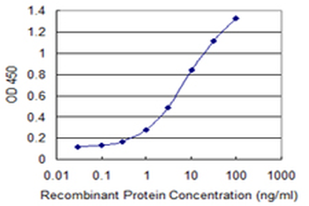 EED monoclonal antibody (M05), clone 3B12