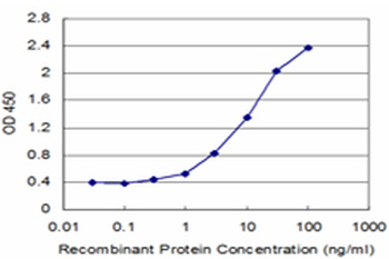 RUVBL1 monoclonal antibody (M01), clone 3G4-1F8