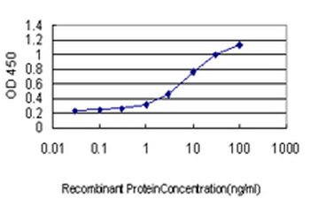KLF11 monoclonal antibody (M01), clone 8F4