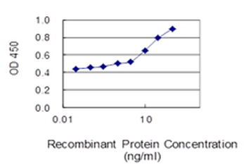 HIST1H3D monoclonal antibody (M01), clone 1D8
