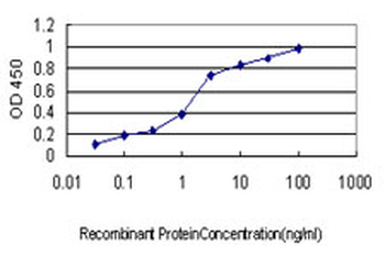 USP9X monoclonal antibody (M01), clone 1C4