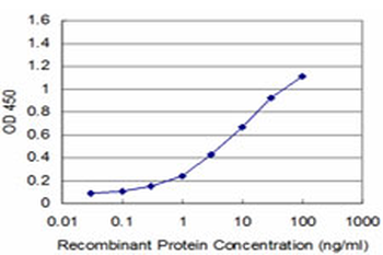 NR4A3 monoclonal antibody (M02), clone 1E9