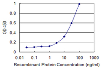 ARHGEF5 monoclonal antibody (M01), clone 3A12-B5