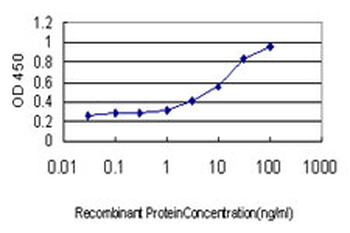 FZD5 monoclonal antibody (M01), clone 6A3