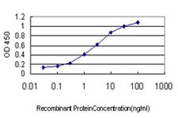LRP8 monoclonal antibody (M01), clone 3H2