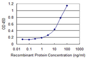 ZYX monoclonal antibody (M02), clone 2D1