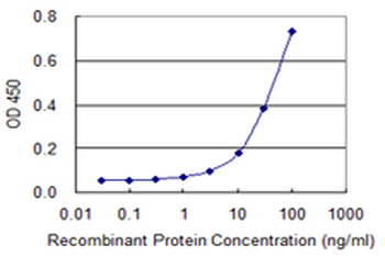 ZYX monoclonal antibody (M01), clone 2C10-4A7