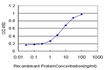 ZNF131 monoclonal antibody (M07), clone 5F1