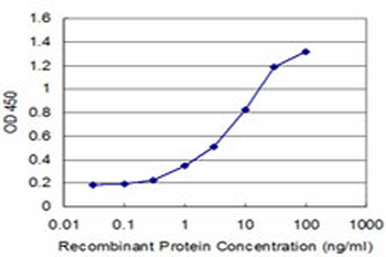 XRCC2 monoclonal antibody (M01), clone 2H4