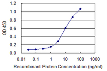 UVRAG monoclonal antibody (M04), clone 2E8