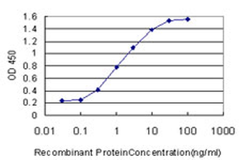 USF1 monoclonal antibody (M02), clone 2A7