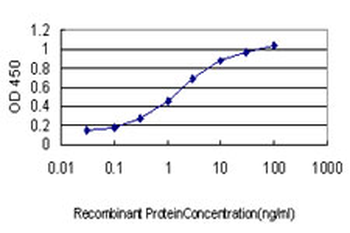 UBTF monoclonal antibody (M01), clone 6B6