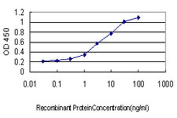 UBE2G2 monoclonal antibody (M01), clone 5E1