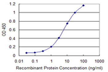 TWIST1 monoclonal antibody (M13), clone 2G12