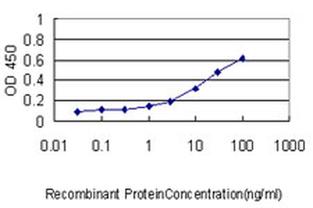 TTK monoclonal antibody (M01), clone 3G7