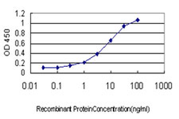 TPM4 monoclonal antibody (M01), clone 4E4-1D2