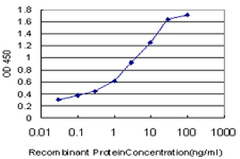TGM2 monoclonal antibody (M10), clone 2F4