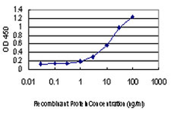 TFAP2A monoclonal antibody (M01), clone 2G5