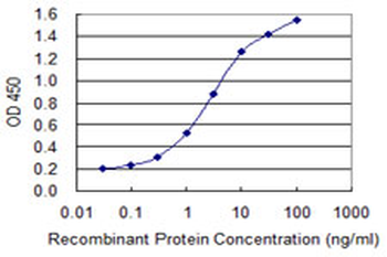TEAD3 monoclonal antibody (M01), clone 1C4