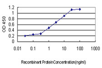 TCF3 monoclonal antibody (M01), clone 5G2