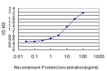 TBX2 monoclonal antibody (M01), clone 7G5