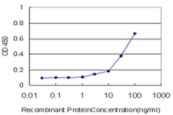 TAZ monoclonal antibody (M12), clone 1B10