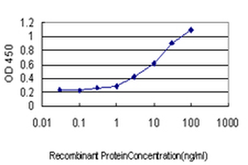 TAF7 monoclonal antibody (M01), clone 2C5