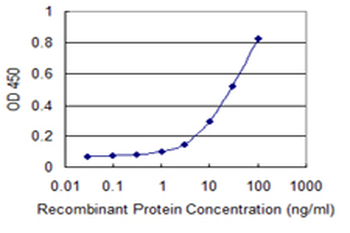 TAGLN monoclonal antibody (M01), clone 1E2