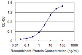 SUOX monoclonal antibody (M01), clone 1H1