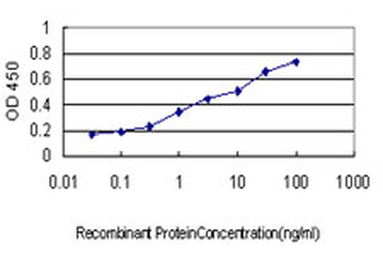 AURKA monoclonal antibody (M01), clone 5F8