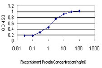 STK4 monoclonal antibody (M01), clone 1D7-8A10