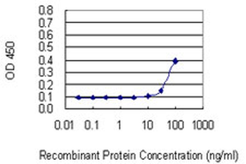 SSB monoclonal antibody (M01), clone 1D6-H5