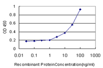 SPP1 monoclonal antibody (M10), clone 4F2