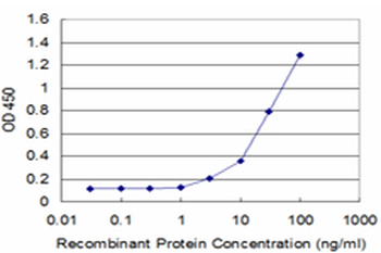 SPARC monoclonal antibody (M02), clone 1B2