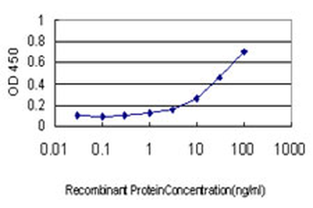 SHMT1 monoclonal antibody (M01), clone 4F9
