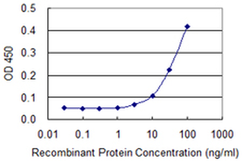 SCG5 monoclonal antibody (M02), clone 8G11