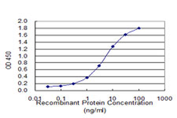 SCN8A monoclonal antibody (M04), clone 4G7
