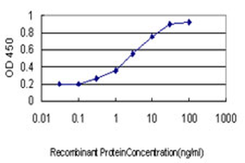 SERPINB3 monoclonal antibody (M01), clone 2F5