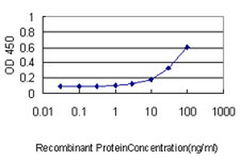 MAPK12 monoclonal antibody (M01), clone 4F4-3D2