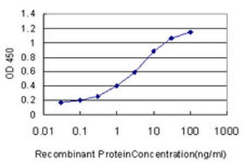 S100A13 monoclonal antibody (M01), clone 3A7