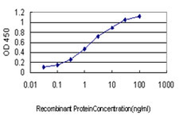 RRM2 monoclonal antibody (M01), clone 1E1