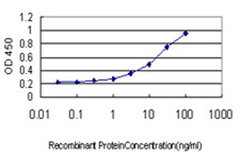 RRAS monoclonal antibody (M01), clone 2E12
