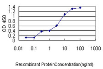 MRPL12 monoclonal antibody (M01), clone 3B12-1A3