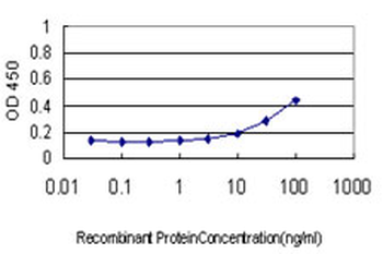 RPL19 monoclonal antibody (M01), clone 3H4