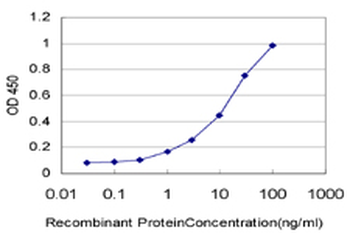 RPL4 monoclonal antibody (M01), clone 4A3