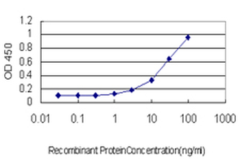 RBP4 monoclonal antibody (M07), clone 3D12