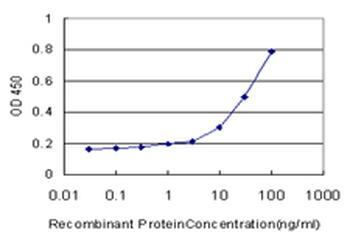RAP1A monoclonal antibody (M01), clone 3E1